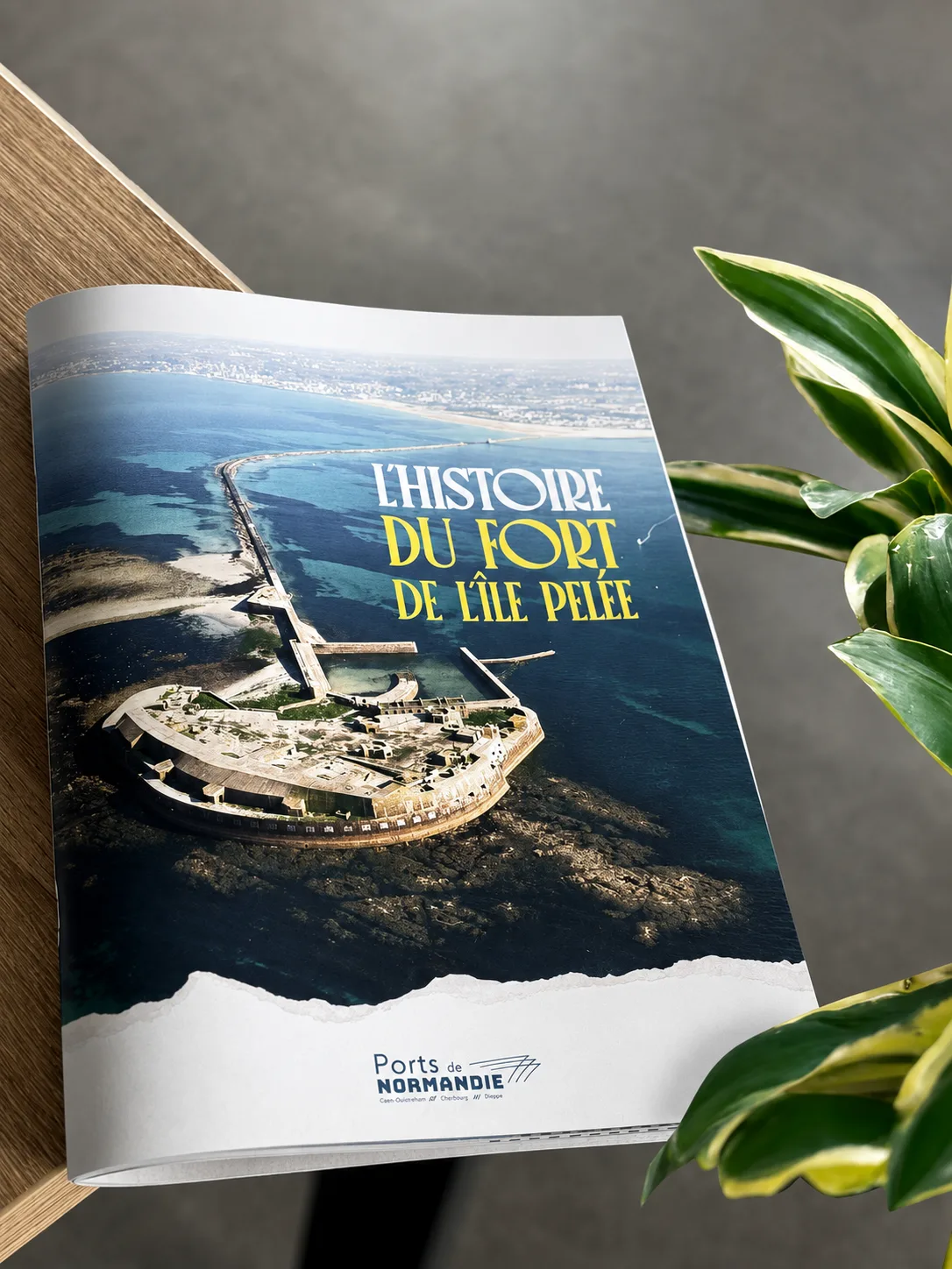 Troisième photographie du projet Le fort de l’île Pelée.
